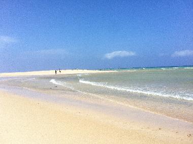 Chambre avec petit d�jeuner �/en/au  (Fuerteventura)ou appartement ou maison de vacances