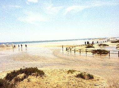 Chambre avec petit d�jeuner �/en/au  (Fuerteventura)ou appartement ou maison de vacances