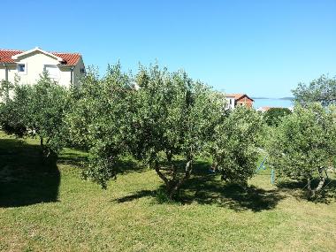 Appartement de vacances /en/au DRAGE (Zadarska)ou appartement ou maison de vacances