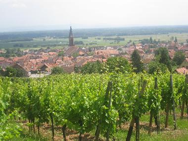 Appartement de vacances �/en/au KINTZHEIM (Bas-Rhin)ou appartement ou maison de vacances