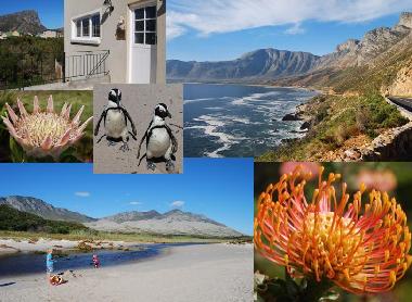 Maison de vacances �/en/au Pringle Bay (Western Cape)ou appartement ou maison de vacances