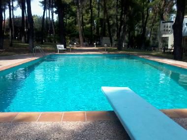 Villa /en/au SANI (Chalkidiki)ou appartement ou maison de vacances