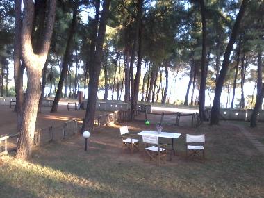 Villa /en/au SANI (Chalkidiki)ou appartement ou maison de vacances