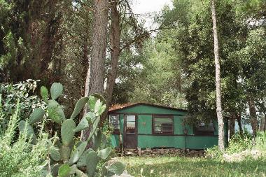 Chambre avec petit djeuner /en/au Collesalvetti - Crocino (Livorno)ou appartement ou maison de vacances