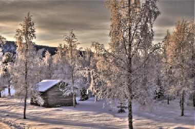 Maison de vacances �/en/au Sorsele (V�sterbotten)ou appartement ou maison de vacances