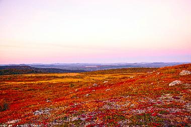 Maison de vacances �/en/au Sorsele (V�sterbotten)ou appartement ou maison de vacances