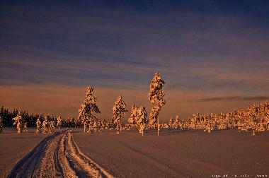 Maison de vacances �/en/au Sorsele (V�sterbotten)ou appartement ou maison de vacances