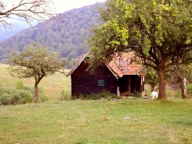 Chalet �/en/au Vale (Sibiu)ou appartement ou maison de vacances