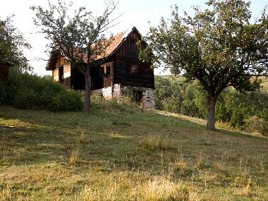Chalet �/en/au Vale (Sibiu)ou appartement ou maison de vacances