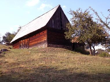 Chalet �/en/au Vale (Sibiu)ou appartement ou maison de vacances