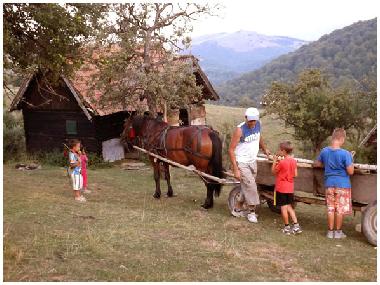 Chalet �/en/au Vale (Sibiu)ou appartement ou maison de vacances