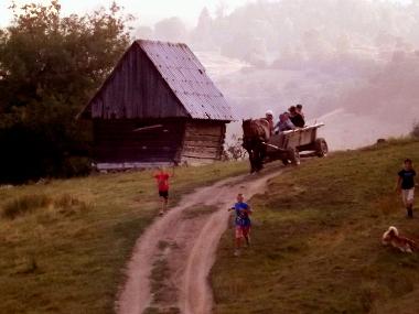 Chalet �/en/au Vale (Sibiu)ou appartement ou maison de vacances