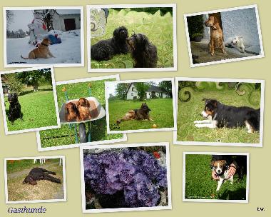 Appartement de vacances /en/au Malente-Krummsee (Holsteinische Schweiz)ou appartement ou maison de vacances