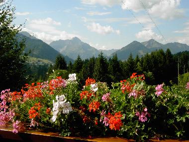 Appartement de vacances �/en/au Riezlern  (Bayerische Schwaben)ou appartement ou maison de vacances