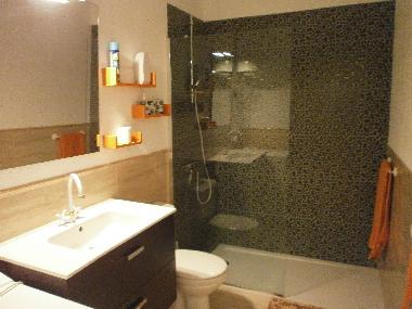 Appartement de vacances �/en/au Costa del Silencio (Teneriffa)ou appartement ou maison de vacances