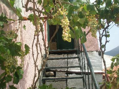 Villa /en/au Nikithianos (Lasithi)ou appartement ou maison de vacances