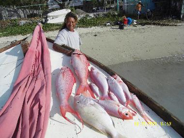 Appartement de vacances /en/au Grand Baie (Grand Baie)ou appartement ou maison de vacances