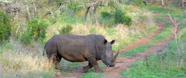 Maison de vacances �/en/au Phalaborwa (KRUGERPARK) (Northern Province)ou appartement ou maison de vacances