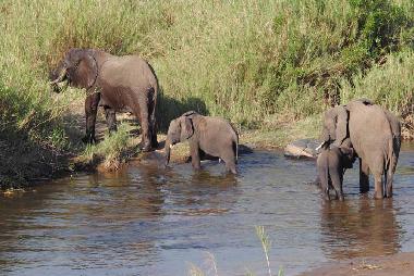 Maison de vacances �/en/au Phalaborwa (KRUGERPARK) (Northern Province)ou appartement ou maison de vacances