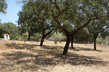 Maison de vacances /en/au Santo Estevo (Grande Lisboa)ou appartement ou maison de vacances