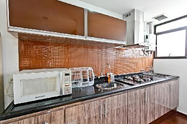 Appartement de vacances �/en/au copacabana ipanema (Rio de Janeiro)ou appartement ou maison de vacances