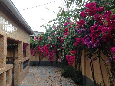 cour de la maison et devanture veranda