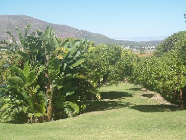 Chalet �/en/au Cape Town (Western Cape)ou appartement ou maison de vacances