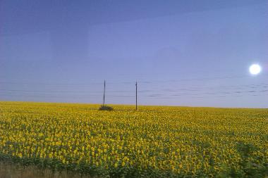 Maison de vacances �/en/au Balchik (Dobrich)ou appartement ou maison de vacances