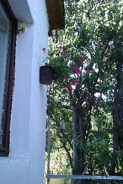 Maison de vacances �/en/au Balchik (Dobrich)ou appartement ou maison de vacances