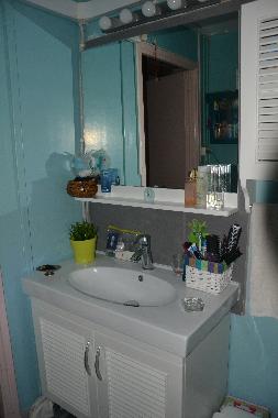 Salle de bain avec douche 