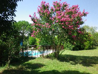 Villa �/en/au Fayence (Var)ou appartement ou maison de vacances