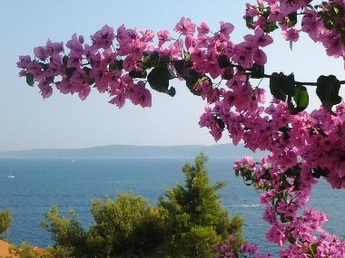 Appartement de vacances /en/au Okrug Gornji (Splitsko-Dalmatinska)ou appartement ou maison de vacances