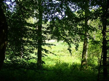 Appartement de vacances �/en/au Holtsee (Ostsee-Festland)ou appartement ou maison de vacances