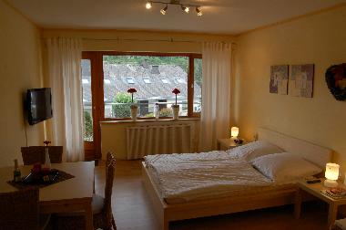 Appartement de vacances /en/au Willingen (Waldecker Land)ou appartement ou maison de vacances