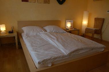 Appartement de vacances /en/au Willingen (Waldecker Land)ou appartement ou maison de vacances