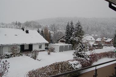 Appartement de vacances /en/au Willingen (Waldecker Land)ou appartement ou maison de vacances
