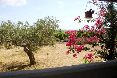 Appartement de vacances �/en/au Menfi (Agrigento)ou appartement ou maison de vacances