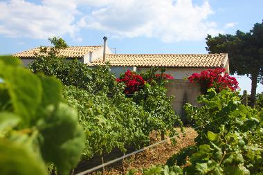 Appartement de vacances �/en/au Menfi (Agrigento)ou appartement ou maison de vacances