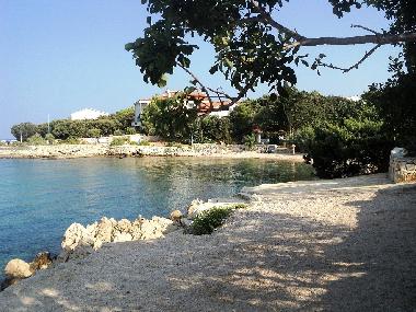 Appartement de vacances /en/au Pag , Mandre (Zadarska)ou appartement ou maison de vacances