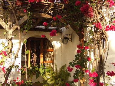 Pergola couverte de bougainvilliers