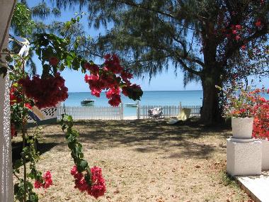 Plage prive et magnifique lagon