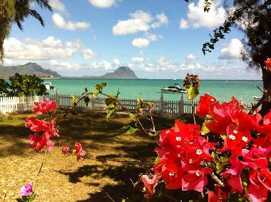 Vue imprenable du lagon et de la montagne du Morne