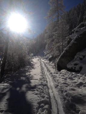 Chalet �/en/au Albinen (Albinen)ou appartement ou maison de vacances