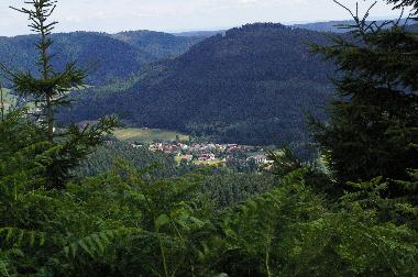 Appartement de vacances /en/au Baiersbronn-Obertal (Schwarzwald)ou appartement ou maison de vacances