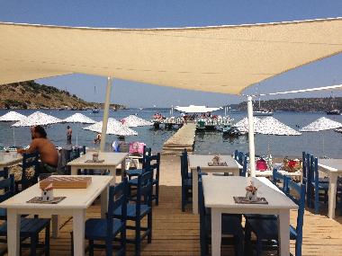 Villa /en/au gundogan (Mugla)ou appartement ou maison de vacances