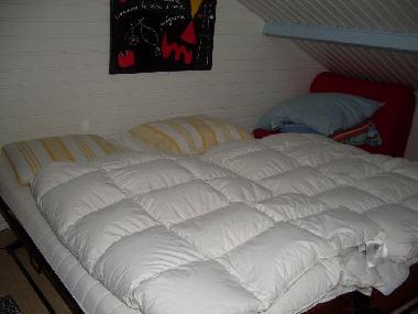 Maison de vacances �/en/au Ellemeet (Zeeland)ou appartement ou maison de vacances