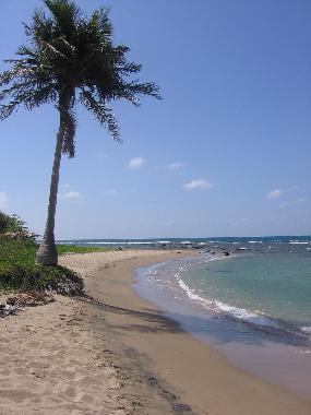 Chambre avec petit d�jeuner �/en/au Billys Bay (Saint Elizabeth)ou appartement ou maison de vacances
