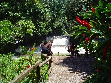 Chambre avec petit d�jeuner �/en/au Billys Bay (Saint Elizabeth)ou appartement ou maison de vacances