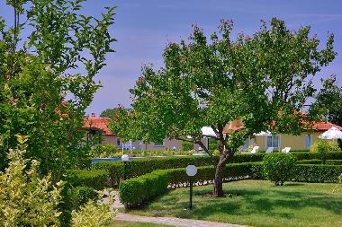 Maison de vacances �/en/au Bryastovets (Burgas)ou appartement ou maison de vacances