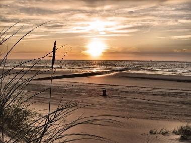 Chalet /en/au Bredene (Flandre)ou appartement ou maison de vacances